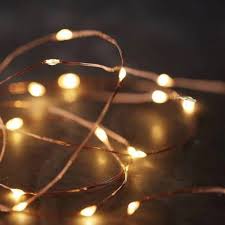 Alambre Luces Led Cálidas Navidad 1 Metro Pilas